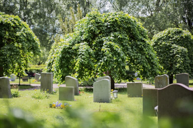Gravstenar på kyrkogård